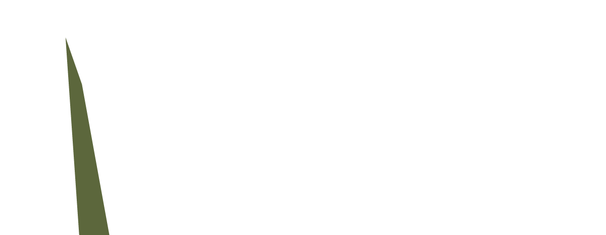 GDI Property Group